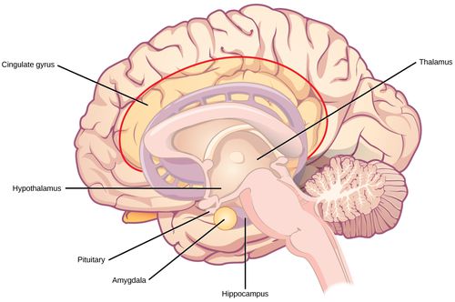 Fear Of Failure? Here's Why Making Mistakes Is Good For Your Brain