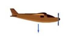 airplane downward gravity