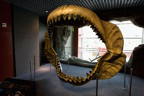 megalodon jaw
