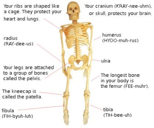 health research paper zealand (hrc)