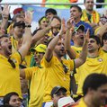 Brazil soccer World cup fans