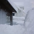 winter snow