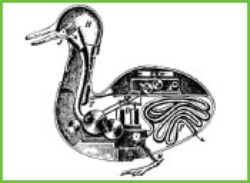 drawing of robotic duck