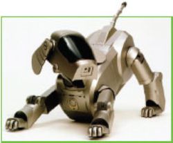 robot puppy