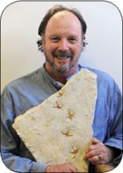 Martin Lockley balding beard hold stone
