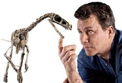 Eodromaeus’s skeleton fossil